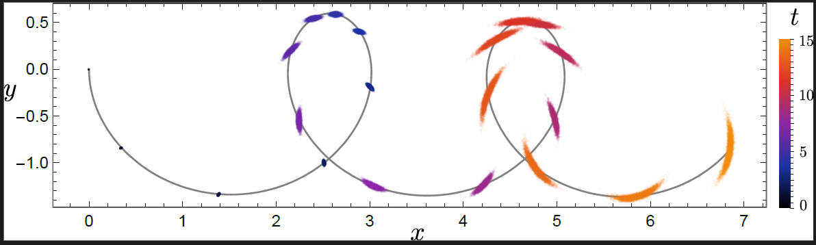 Simulation of the quantum skater system