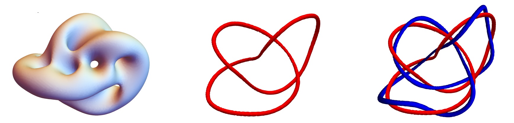 Charge 10 Skyrmion as a trefoil knot